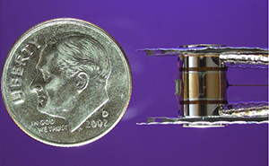 The target microassembly is slightly smaller than a dime.